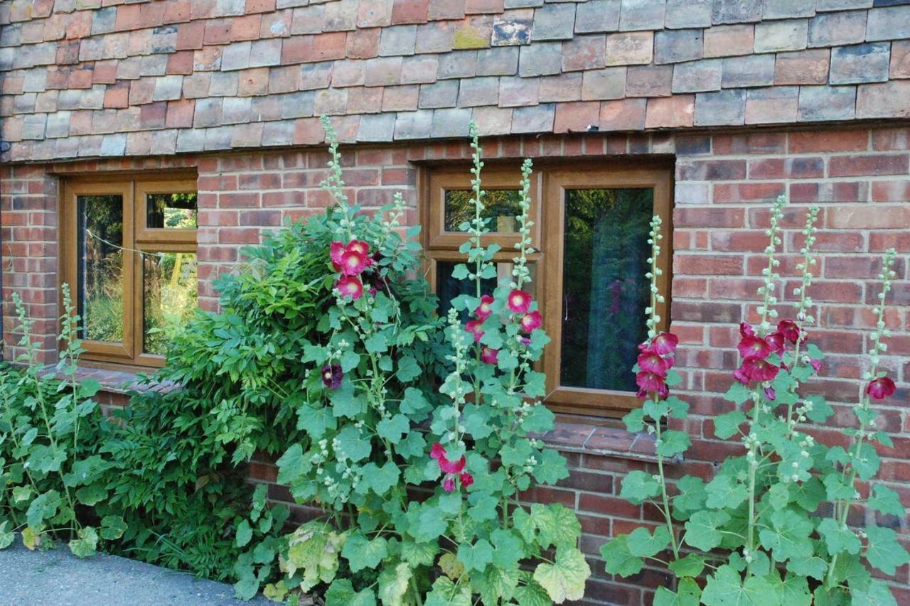 Hollyhock Cottage Ashford  Kültér fotó